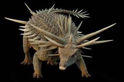 Keşfedilen en garip dinozor: 1 metrelik dikenleri var