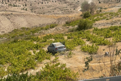 Malatya'da kontrolden çıkan araç üzüm bağına uçtu: 2 yaralı