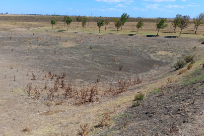 Tekirdağ'da Ballıhoca Sulama Göleti kurudu