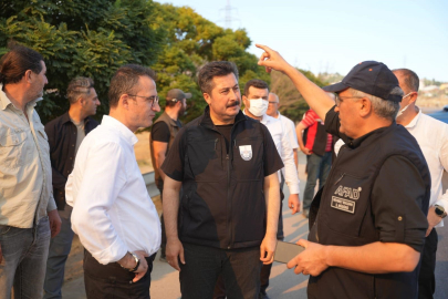 Bursa Yenişehir’de 100 hektarlık alan küle döndü