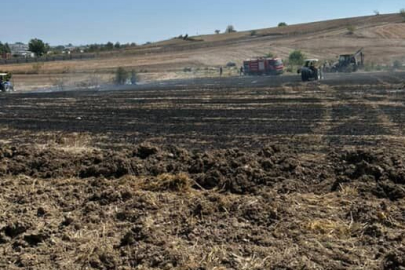 Sakarya'da 20 dönümlük alan anız yangınında kül oldu