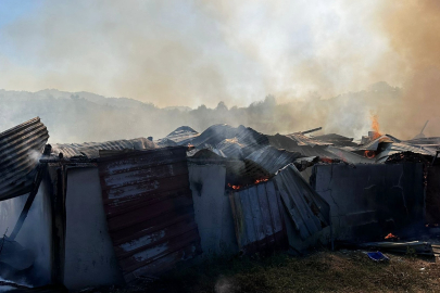 Sakarya'da alevlere teslim olan samanlık kullanılamaz hale geldi