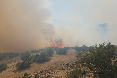 Balıkesir'de orman yangını