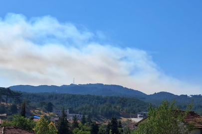 Denizli'de dün çıkan orman yangını sürüyor