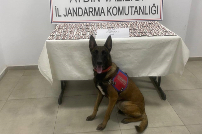 Aydın'da jandarmadan uyuşturucu operasyonu: 3 gözaltı