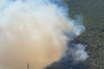 Bartın'da orman yangını çıktı