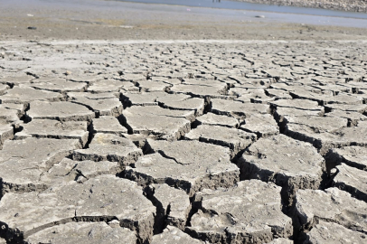 Bursa'nın 42 yıllık Çınarlı Göleti'nde tehlike çanları çalıyor!