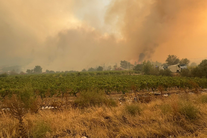 Denizli-Aydın il sınırında 4 gündür devam eden yangında bir köy tahliye ediliyor