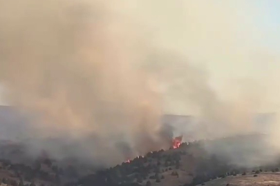 Sivas’ta çıkan örtü yangınına müdahale sürüyor