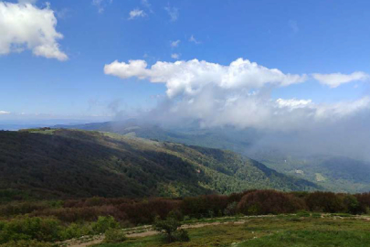 Bursa'da 743 milyon TL yatırıma onay! Yüzlerce ağaç kesilecek