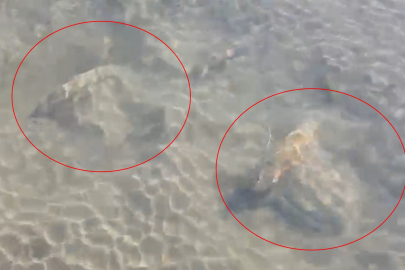 Bursa İznik Gölü’nde sütun başlıkları bulundu