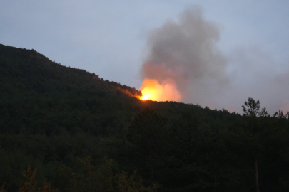 Kastamonu Valiliği'nden açıklama: Yangın sebebiyle tahliye edilen köy sayısı 6'ya çıktı