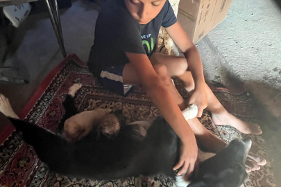 Amasya'da çocuklar ihbar etti, atık su borusuna sıkışan yavru köpekler kurtarıldı