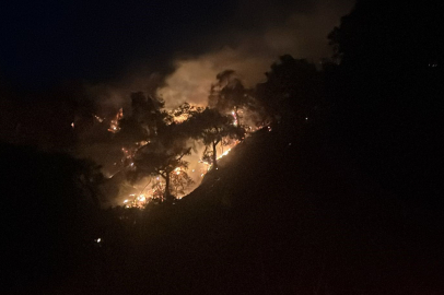 Aydın Pınardere'de alevler yeniden yükseldi