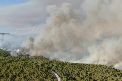 Kastamonu'daki orman yangını sürüyor: Kuvvetli rüzgar yangının enerjisini arttırdı