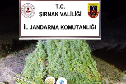 Şırnak'ta Jandarma’dan 22 milyon 861 bin liralık kaçakçılık operasyonu: 2 tutuklama
