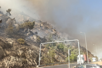 Aydın Söke'de makilik alan yangını, söndürme çalışmaları sürüyor
