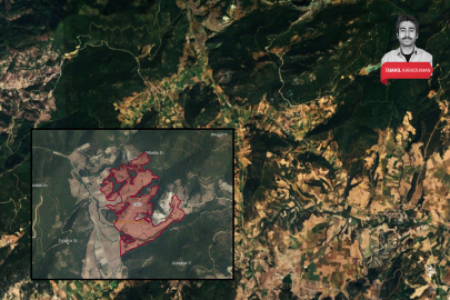 Bursa'da ormanın ortasına çimento fabrikası! Resmen onay çıktı