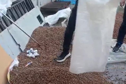 Sakarya'da uyuşturucu zulası fındık çuvalından çıktı