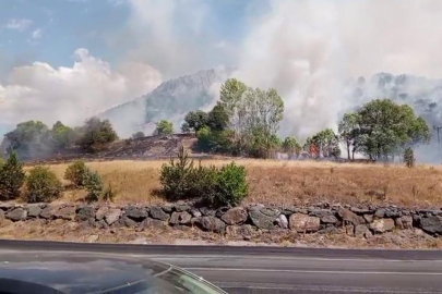 Sivas'ta ağaçlık alanda yangın