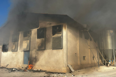 Afyonkarahisar'da tavuk çiftliğinde yangın