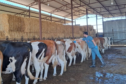 Aydın Kuyucak'ın 13 mahallesinde giriş çıkışlar yasaklandı