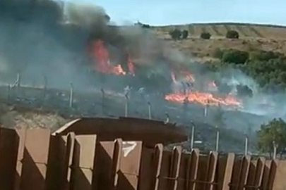 Balıkesir Erdek'te otluk ve ağaçlık alanda yangın