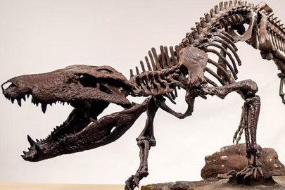 Dinozorlarla beslenen bir timsah keşfedildi