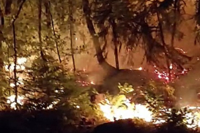 Düzce'de bir bölgede daha orman yangını çıktı