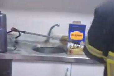 Şırnak’ta iş yerinde yılan paniği