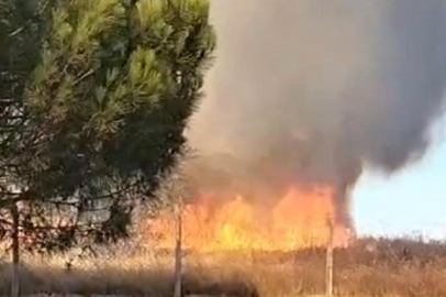 Tekirdağ'da korkutan yangın