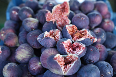 11. Akçalar İncir Festivali 14 Eylül'de