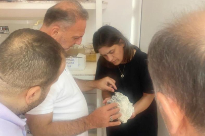 Bursa'da 42 yıldır devam eden paleontolojik kazı Anadolu'nun geçmişine ışık tutacak