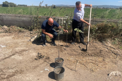 Bursa'da "Ağaççı hoca" lakaplı sınıf öğretmeninden örnek davranış