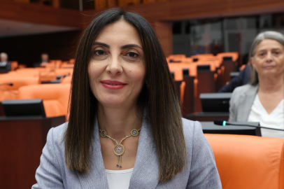 CHP Bursa Milletvekili Kayışoğlu Hocaköy'ü sordu!