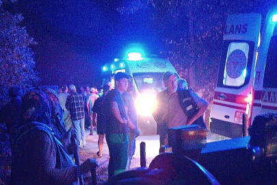 Düzce'de pat pat uçuruma yuvarlandı: 8 yaralı