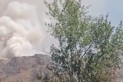 Türkiye-İran sınırında yangın: Vatandaşlar müdahale etti