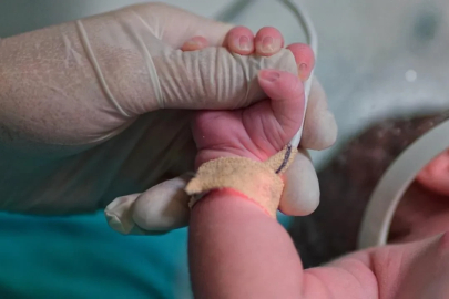 Yenidoğan çetesi davasında 'Adli Tıp Kurumu raporu' tartışması