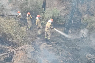 Adana'daki orman yangını kontrol altına alındı