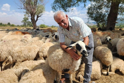 Çoban maaşları 130 bin TL'ye çıktı! 'Bulamıyoruz'