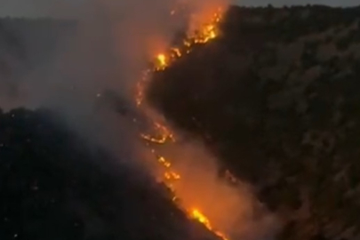 Hakkari Şemdinli’de ormanlık alanda korkutan yangın
