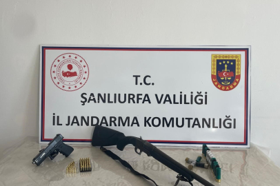 Şanlıurfa'da 4 ilçede eş zamanlı operasyon: Çok sayıda silah ele geçirildi