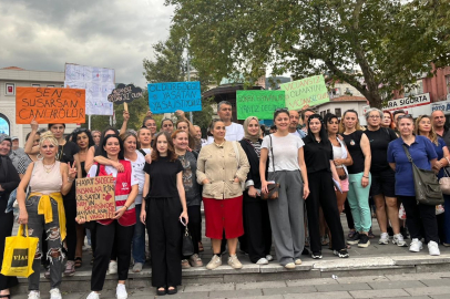 Bursa'da hayvanseverlerden dikkat çeken açıklama: Belediyeler hak ihlali suçu işliyor!