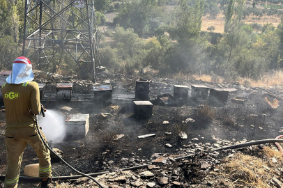 Muğla'da Ormancı Türküsü’nün yakıldığı Gevenes’te bu defa arı kovanları yandı