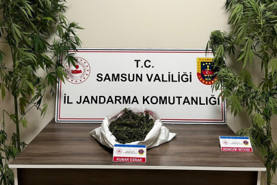 Samsun'da Jandarma 3 kilo 237 gram esrar ele geçirdi