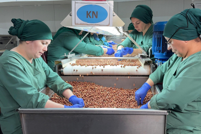 124 ülke fındık için Türkiye'ye para yağdırdı!