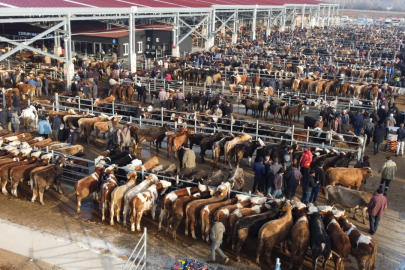 Bakan Yumaklı duyurdu: Hayvan pazarları o illerden sonra Bursa'da da açıldı!