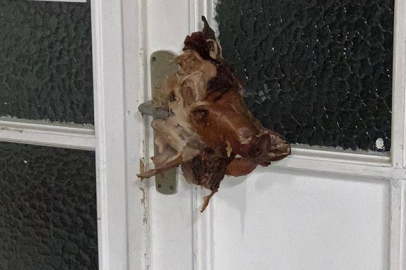 Fransa’da 9 camiye çirkin saldırı: Camilerin önünde domuz kafası bırakıldı