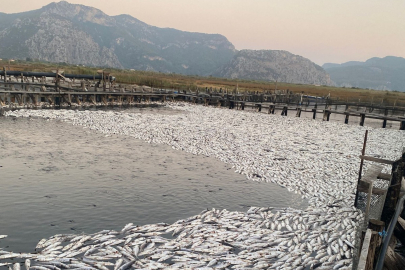 "Havuzlar açılmayınca tonlarca balık telef oldu" iddiası