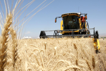 Hububat ihracatı 8 ayda 8 milyar doları aştı